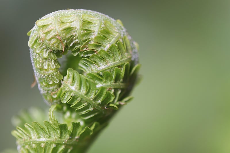 Sustainable Living Tips